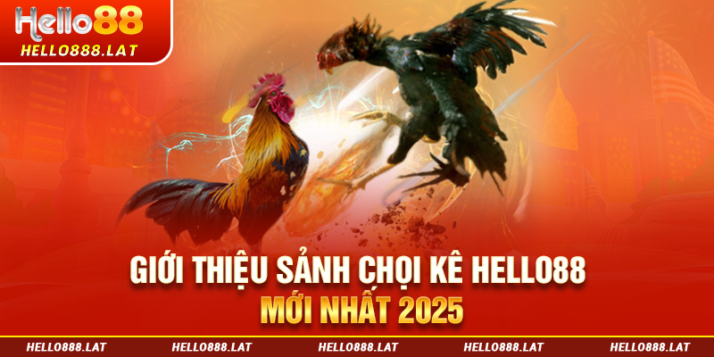 Giới thiệu sảnh đá gà Hello88 mới nhất 2025