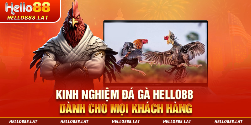 Kinh nghiệm đá gà Hello88 dành cho mọi khách hàng