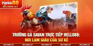 Trường Gà Savan Trực Tiếp Hello88: Nơi Làm Giàu Của Sư Kê