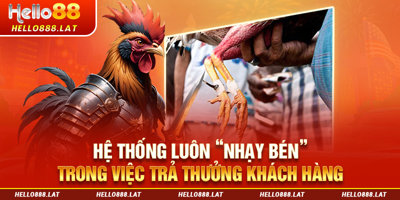 Hệ thống “nhạy bén” trong việc trả thưởng khi chơi trường gà Savan trực tiếp